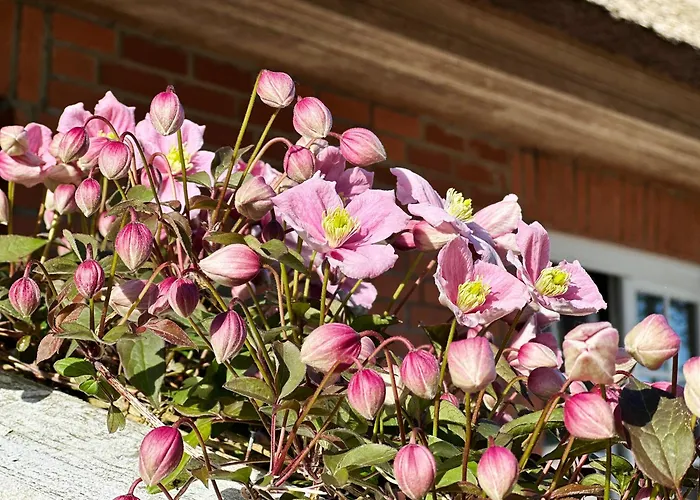 Apartamento *reethuk* *